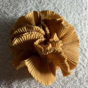 Scrunchie